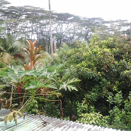 Lava Tree Tropic Inn Pahoa Extérieur photo
