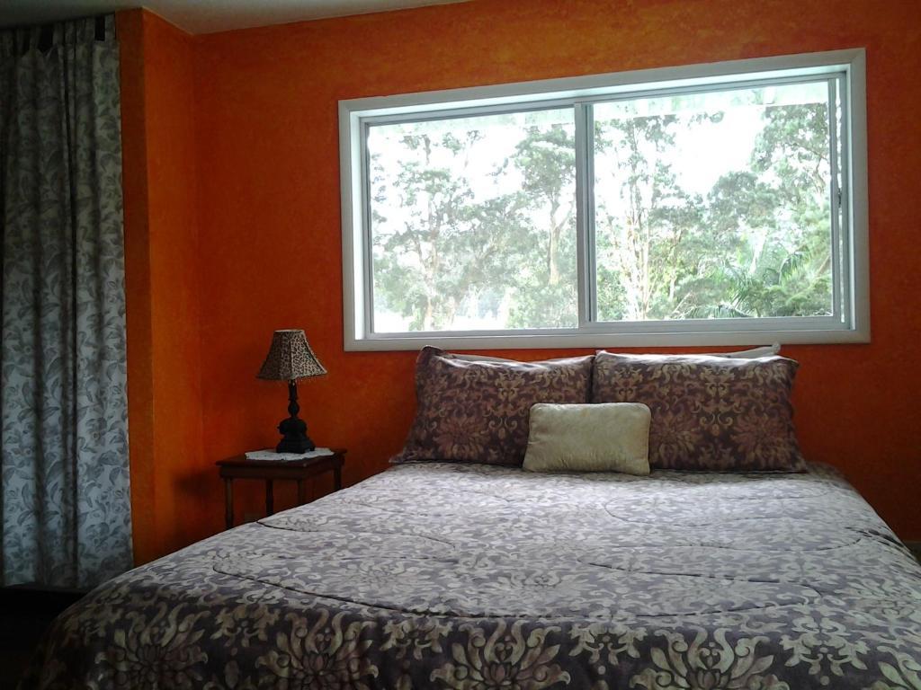 Lava Tree Tropic Inn Pahoa Chambre photo