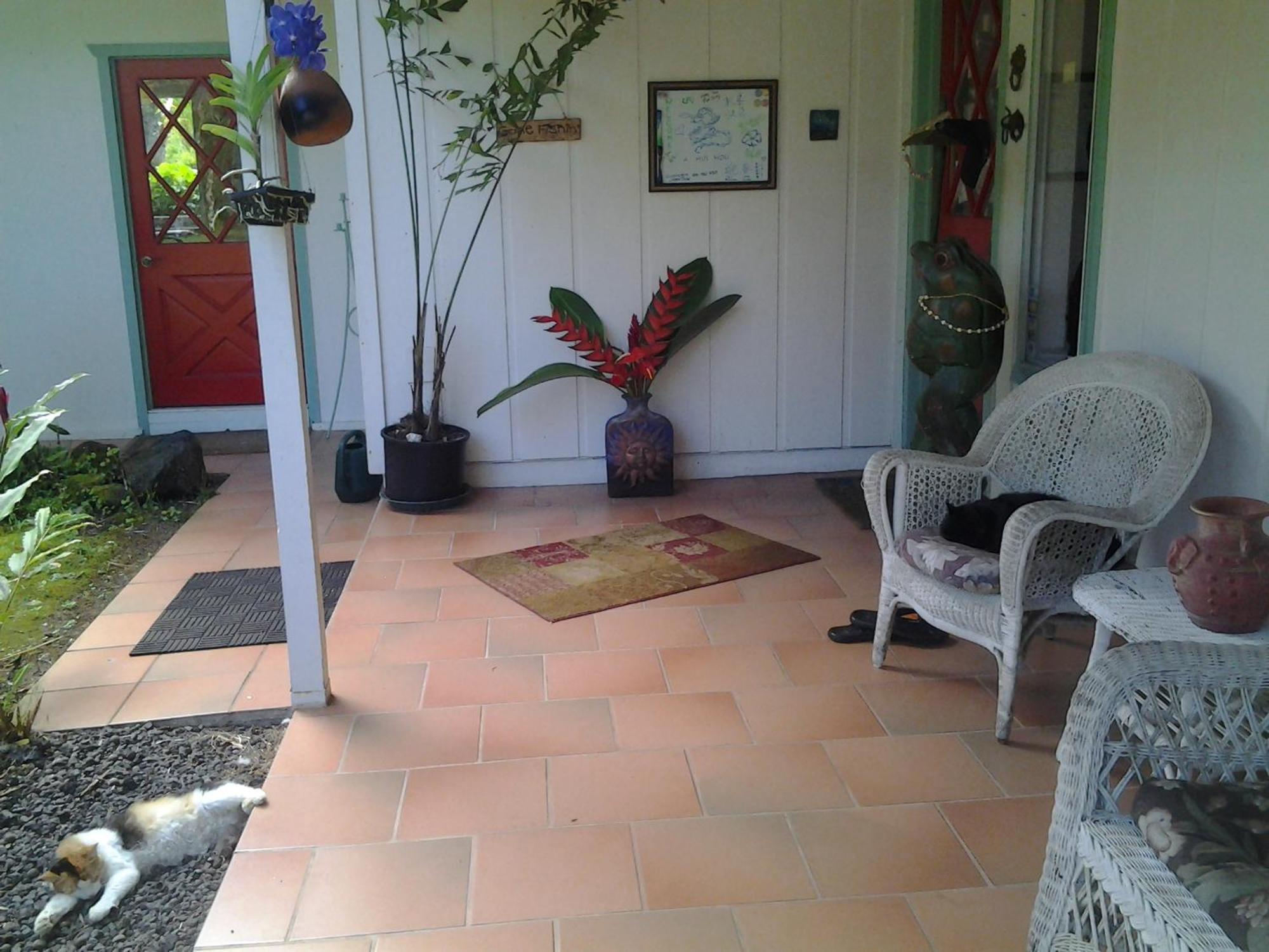 Lava Tree Tropic Inn Pahoa Extérieur photo