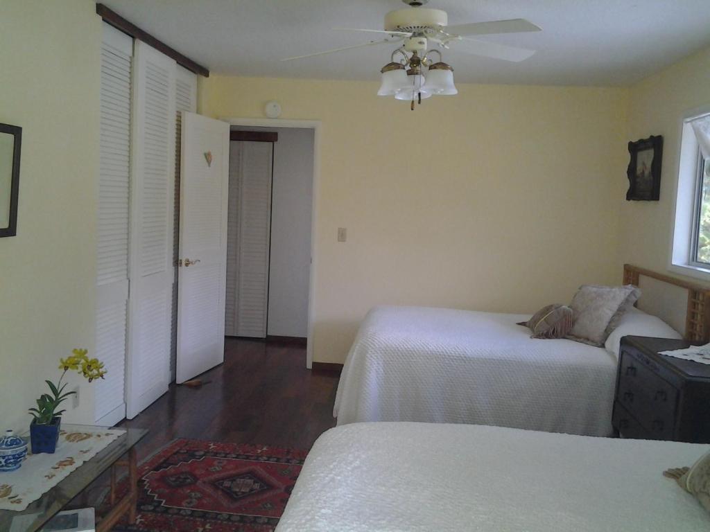 Lava Tree Tropic Inn Pahoa Chambre photo