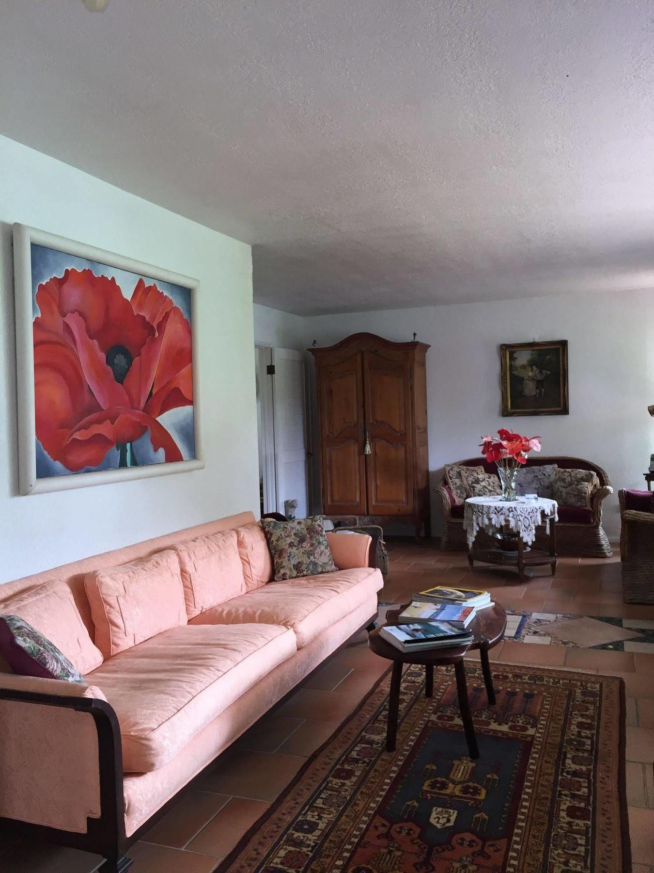 Lava Tree Tropic Inn Pahoa Extérieur photo